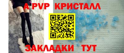 крисы Новодвинск