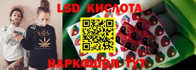 крисы Новодвинск
