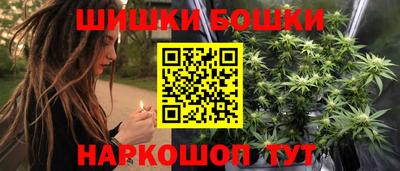 крисы Новодвинск