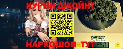 крисы Новодвинск