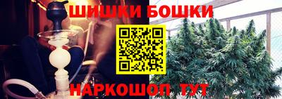 крисы Новодвинск