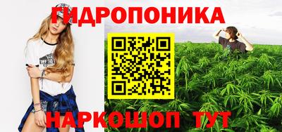 ECSTASY Новозыбков