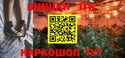 крисы Новодвинск