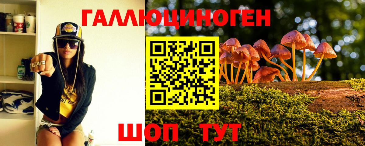 Тавда  Галлюциногенные грибы мухоморы  Вход с VPN  Галлюциногенные грибы прущие грибы 