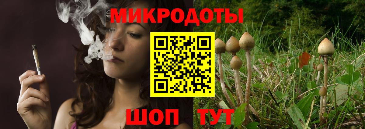 Псилоцибиновые грибы прущие грибы Тавда